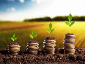 Desembolso rural do primeiro bimestre do Plano Safra 2025/2026
