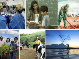 Desemprego no Brasil é o menor em 13 anos; ocupação e renda têm novo recorde em agosto - Arte EBC