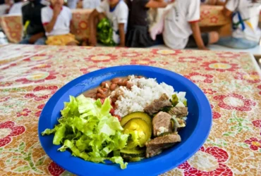 Câmara aprova regras para validade de alimentos na merenda escolar
