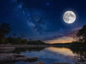 estrelas