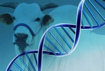 genetica