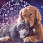 horóscopo-animais