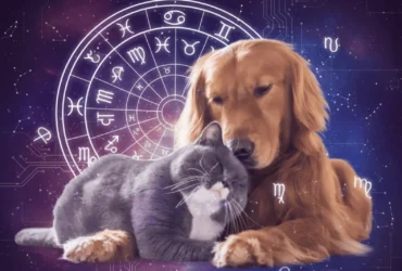 horóscopo-animais
