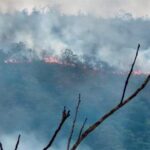 Incêndio ameaça Terra Indígena em Barra do Garças, MT