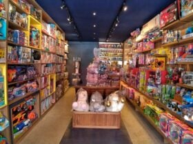 loja criancas brinquedos