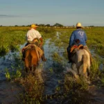 pantanal cheia cavaleiros