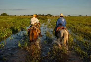 pantanal cheia cavaleiros