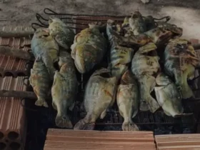 peixe assado comunidade indigena