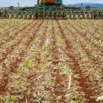 plantio de soja 1
