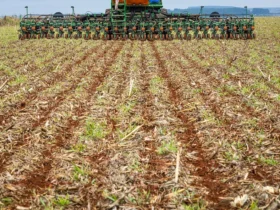 plantio de soja 1