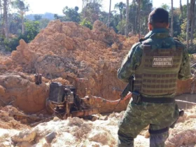 Polícia ambiental combate desmatamento ilegal em Brasnorte, MT