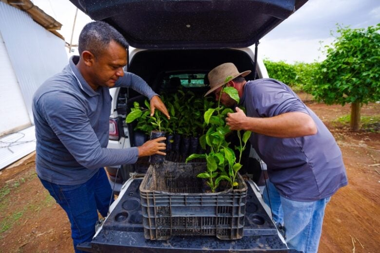 Prefeitura entrega mais de 880 mudas cultivadas no Horto Municipal