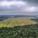 preservacao ambiental mato grosso foto PF