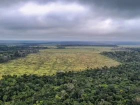 preservacao ambiental mato grosso foto PF