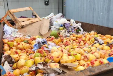 residuos frutas e verduras ceasa