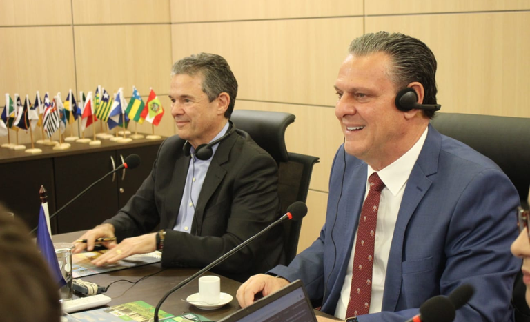 Sem gripe aviária: União Europeia autoriza retomada exportações de frango do Brasil -
