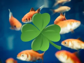 signo de peixes sorte