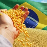 soja brasil - CenárioMT