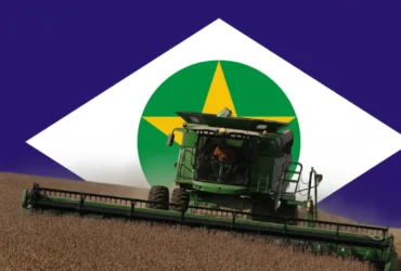 soja em mato grosso