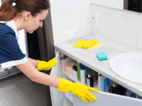 trabalhadores domesticos