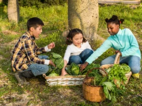 turismo sustentável