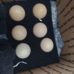 Vigiagro retém ovos in natura enviados por remessa postal dos EUA sem autorização