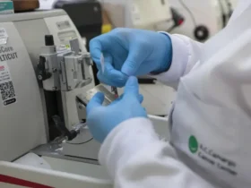 Câncer de próstata pode ter cura de até 98% no estágio inicial