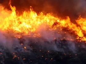 Incêndio mobiliza brigadistas em Cavalcante, Goiás