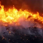 Brigadas controlam dois incêndios na Chapada dos Veadeiros e combatem foco remanescente