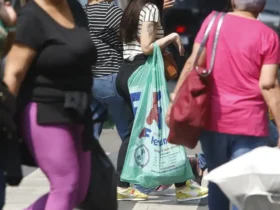 Censo 2022 revela que mulheres têm mais estudo, mas ganham menos