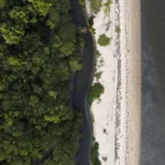 Terra é nossa única opção alerta astrofísico sobre riscos climáticos