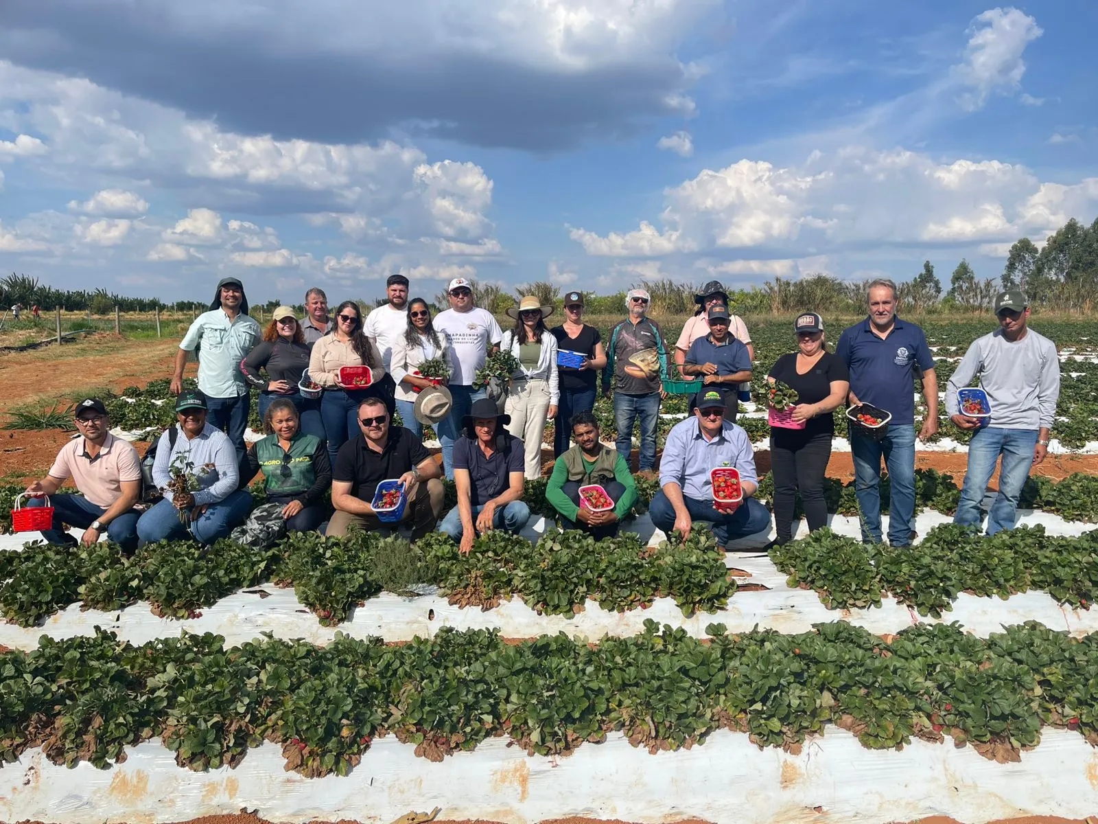 Sebrae/MT promove missão técnica em Brasília para fortalecer a agricultura familiar em Mato Grosso