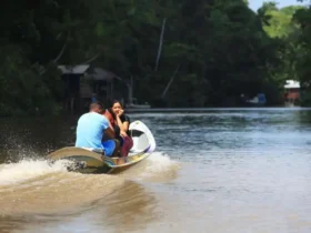 Turismo transforma vida de morador e impulsiona sustentabilidade na Ilha do Combu