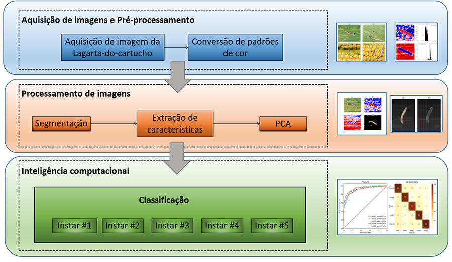 250930 IdentificacaoDigitallagarta Alex Bertolla diagrama de blocos