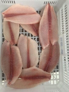 251007 MercadoInternacionalTilapia vertical