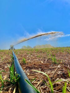 Cana-de-açúcar pode garantir energia elétrica na época de seca, diz estudo 83 251021 CanaEletricidade Leandro dos Santos Morais vertical 2