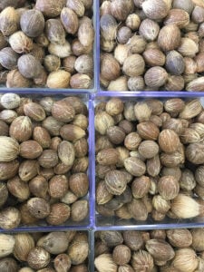 Pesquisa investe em sementes florestais para restaurar três biomas brasileiros 88 251021 QualidadeSementes Isabelly Sedano vertical