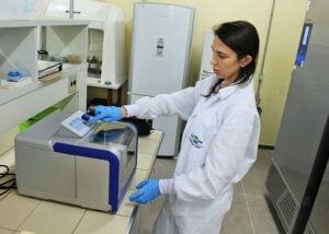 251021 SequenciamentoCapim Elefante Laboratorio 3