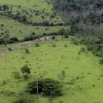 Governo prorroga prazo do georreferenciamento de imóveis rurais até 2029