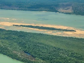 Desmatamento volta a pressionar Terra Indígena Munduruku no Pará