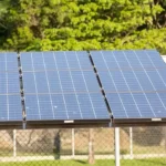 Terceiro leilão do Eco Invest Brasil impulsiona investimentos sustentáveis