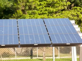 Terceiro leilão do Eco Invest Brasil impulsiona investimentos sustentáveis