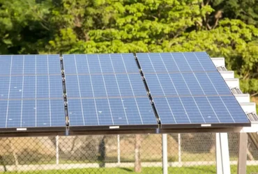 Terceiro leilão do Eco Invest Brasil impulsiona investimentos sustentáveis