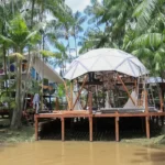 Roteiro turístico em Belém promove experiência completa na Ilha do Combu