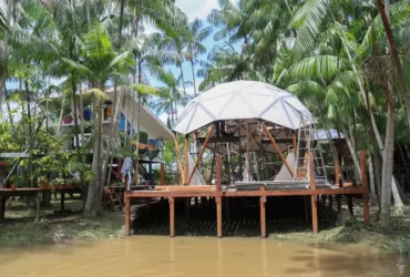 Roteiro turístico em Belém promove experiência completa na Ilha do Combu