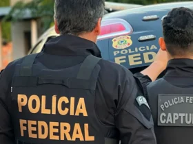 Operação da PF em Guarulhos combate tráfico de animais silvestres