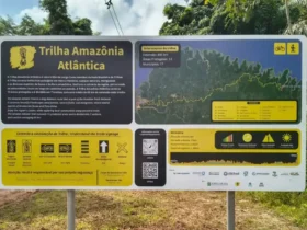 Trilha Amazônia Atlântida será a maior da América Latina na COP30