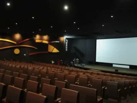 Setor audiovisual brasileiro reforça impacto econômico e busca políticas públicas