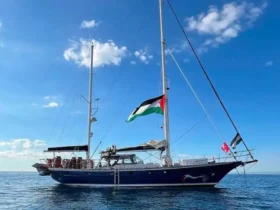 Primeiro integrante da Flotilha Global Sumud denuncia violência durante deportação