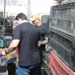 Violência política no Rio cresce e um terço dos casos tem motivação de ódio